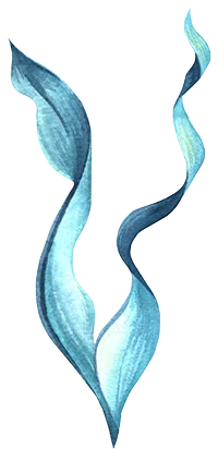 Sea Spa